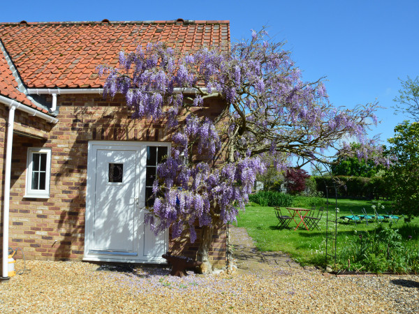 Wisteria Cottage Image 1