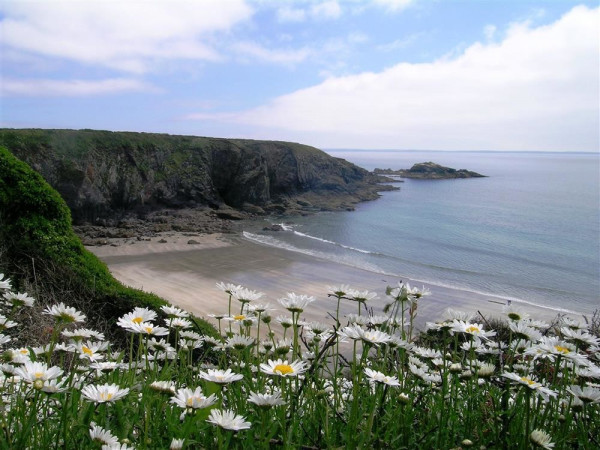 Tremynydd Fawr Image 1