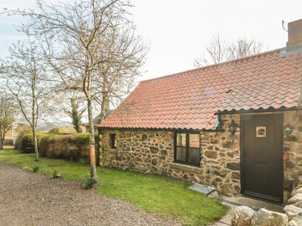 Tile Rouge, Wooler