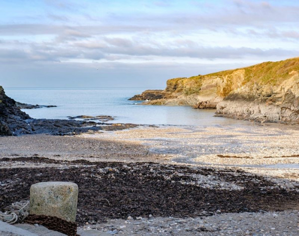 Stop Tide, Port Isaac