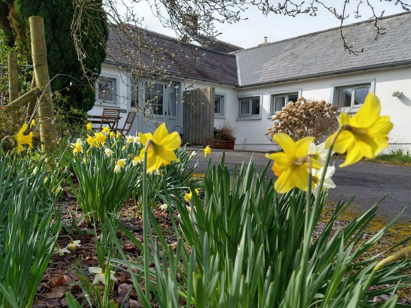 Dinefwr Cottage, Llandeilo