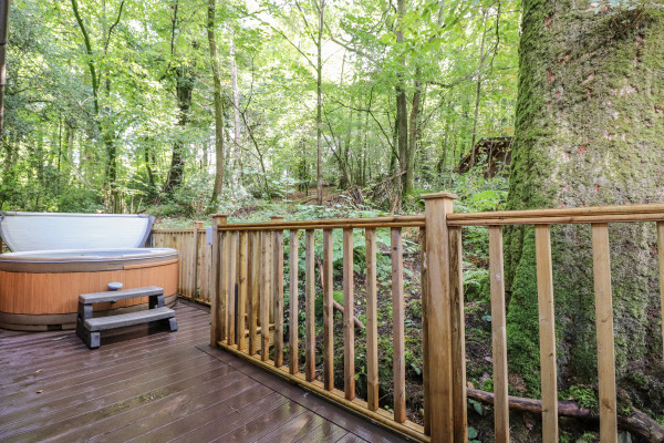 Woodland Retreat, Windermere