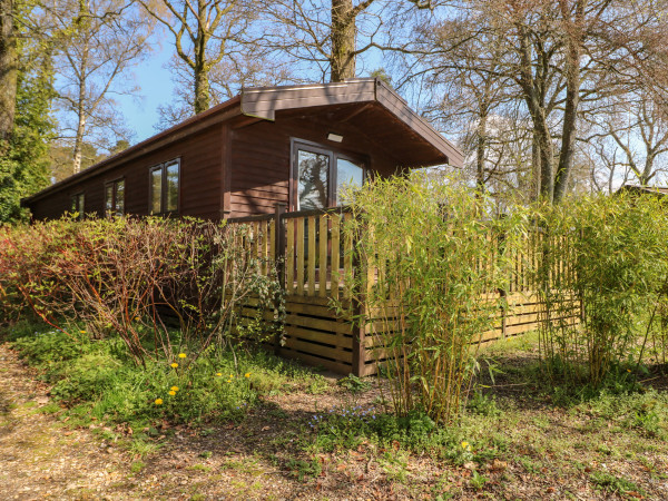 Pinecone Cabin, Godshill, Hampshire 