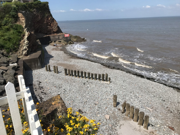 Oyster Catchers, Watchet