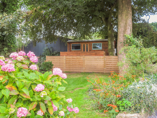 Frongoch Shepherd's Hut Image 1