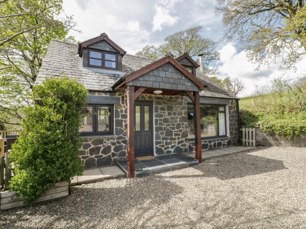 Cyffdy Cottage - Aran, Parc