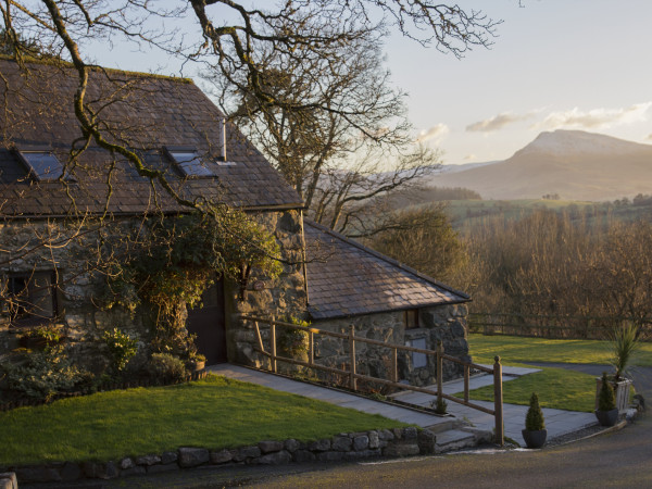 Cyffdy Cottage - Tegid, Parc