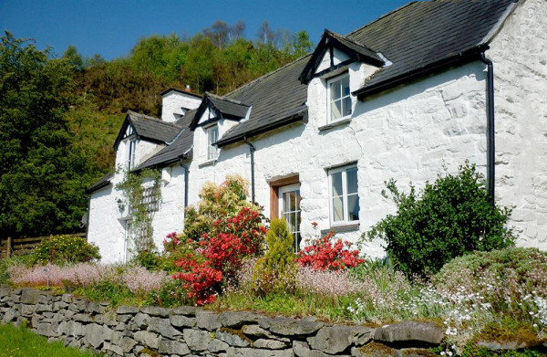 Maes Glas, Machynlleth